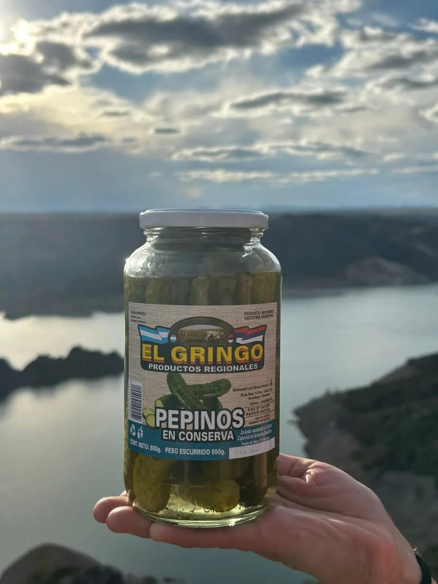 Pepinos en Conserva — foto 5